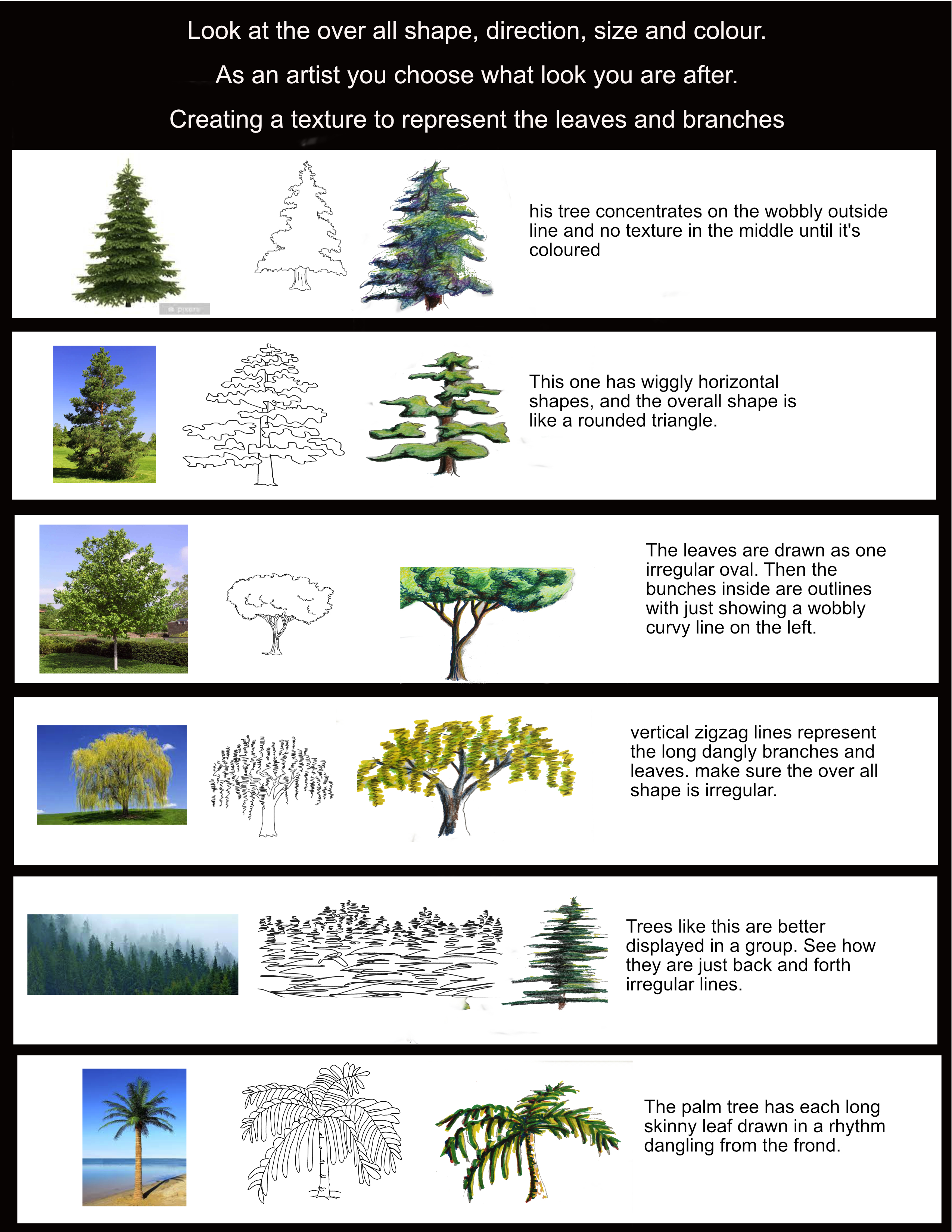 info on trees